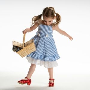 Dorothy costume girl size 2T WITH basket AND dog!